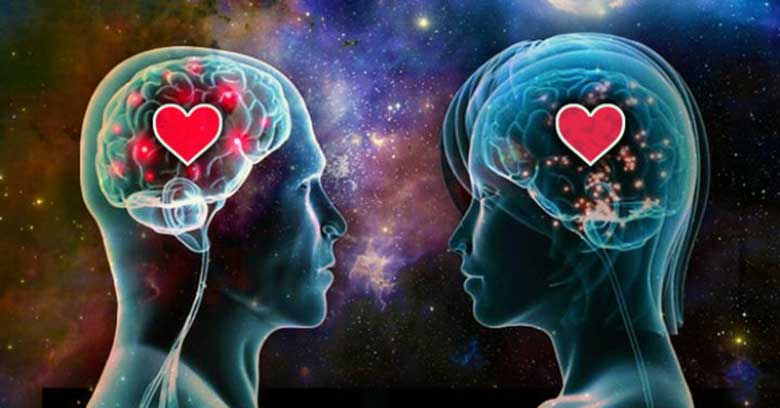 Biology of Love